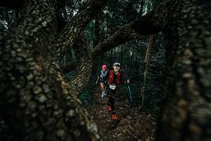 BIB: 
                            <button type="button" onclick="openModal(25685244)" class="btn btn-primary btn-sm float-right btn-popup" data-toggle="modal" data-target=".modal-high-quality">
                        <i class="fas fa-shopping-cart"></i> Add to Cart
                    </button>
                                            <button type="button" onclick="isThisMe(25685244, true)" class="btn btn-success btn-sm float-right btn-popup btn-isme hidden" data-toggle="tooltip" data-placement="bottom" title="นี่คือรูปของคุณใช่ไหม คลิกที่นี่เพื่อเอาเข้าอัลบั้ม">
                        <i class="fas fa-plus"></i> Add to album
                    </button>
                    <button type="button" onclick="isThisMe(25685244, false)" class="btn btn-warning btn-sm float-right btn-popup btn-isnotme hidden">
                        <i class="fas fa-ban"></i> Remove from album
                    </button>